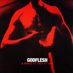 Recenzia – GODFLESH – „A World Lit Only by Fire“ (Avalanche Recordings 2014)