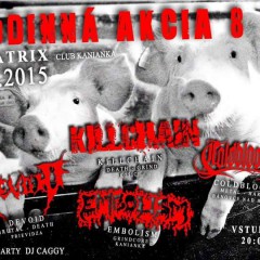 Rodinná Akcia 8, 6. jún 2015, Matrix Club, Kanianka