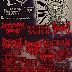 FLESH PARTY OPEN AIR FEST 2015, 19.-20. jún 2015, Camping Sereď