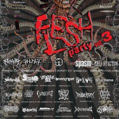 FLESH PARTY open air festival ohlásil poslednú kapelu!
