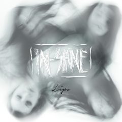 Kapela IN-SANE dokončila svoj debutový album s názvom Lips. Pokrstí ho 4.11. v klube Randal