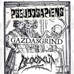 Gazdasgrind, Pseudosapiens, Bloodcut – slovenský metalový armagedon v Ružomberku!
