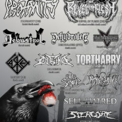 DEADLY STORM FESTIVAL 12