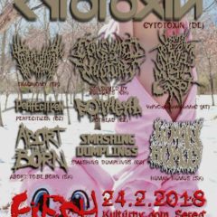 Report – Flesh Party 24 – 24. 2. 2018, Kultúrny dom, Sereď