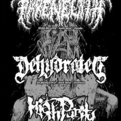 Report – High Purity – Dehydrated – Phrenelith – Břeclav – Piksla – 7.4.2018