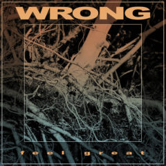 Recenzia – Wrong – Feel Great – Relapsed Records – 2018