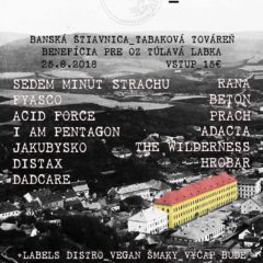 Prečo by ste mali tento rok navštíviť festival Jašterice IV v Banskej Štiavnici!