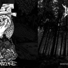 RECENZIA – split БУТ/INSISTENT – L’inphantile collective