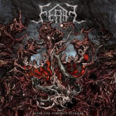 Recenzia – FERAL – „Flesh of Funerals Eternal“- Transcending Obscurity Records