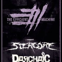 The Efficient Machine, Stercore, Darchaic v Ružomberku