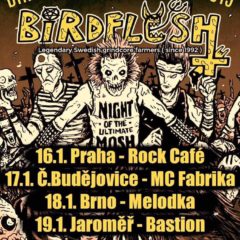 KONCERT – Birdflesh, Gutalax, Kandar, či Spineless Fuckers v Melodke už o týždeň!