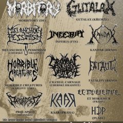 DEADLY STORM FESTIVAL 13 – Plzeň, KD Šeříková – 9. 3. 2019