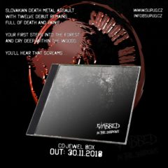 Recenzia – Stabbed – In the Shadows – Support Underground – 2018