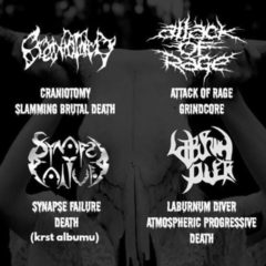 NO MERCY FEST vol.2 v Partizánskom privíta CRANIOTOMY, či ATTACK OF RAGE