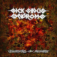 Sick Sinus Syndrome predstavujú svoj druhý album!