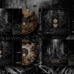Black Hole Constellation vydáva live session video z hradu a limitovanú vinyl edíciu albumu „Garden of Deception Delights“!