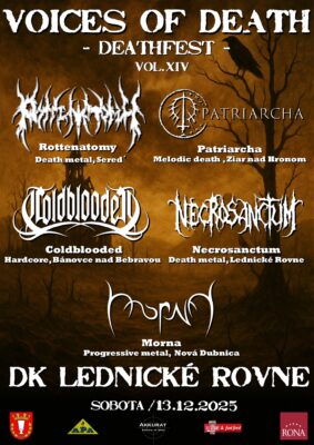 FLESH PARTY 26 INDOOR