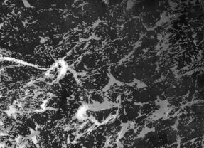 Recenzia – Wayd – Reinvent – 2025