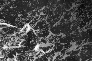 Recenzia – Wayd – Reinvent – 2025