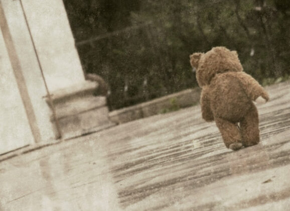 Recenzia – F.S. – F151S – 2021/2025