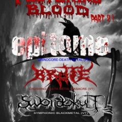 Koncert – EPITOME, BRUTE, SWORDOKULT, 17. máj 2014, Live Club, Humenné